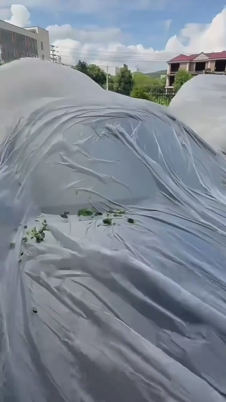 Disposable Car Cover - Universal Sun Rain & Dust Protection, Transparent Thin Full-Cover Auto Body Shield for SUV and Sedan ﻿ ﻿